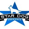 Star Dog Obedience gallery