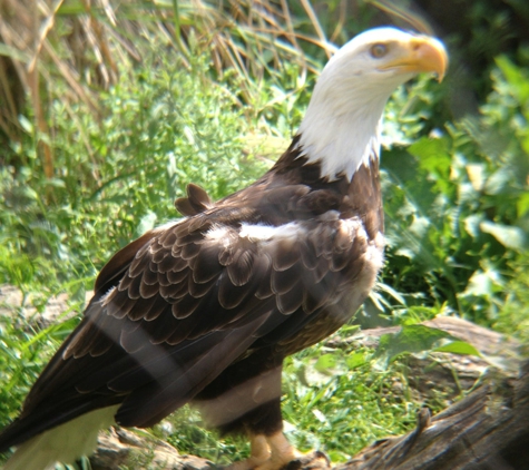 Memphis Zoo - Memphis, TN