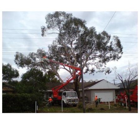 A1 Tree Service (NSW) Pty Ltd. - Dubbo, NSW