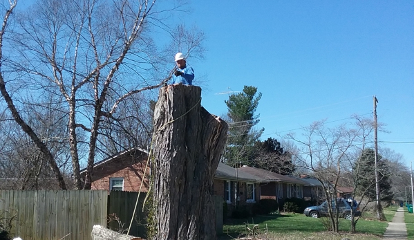 Ash pro tree service - Lexington, KY