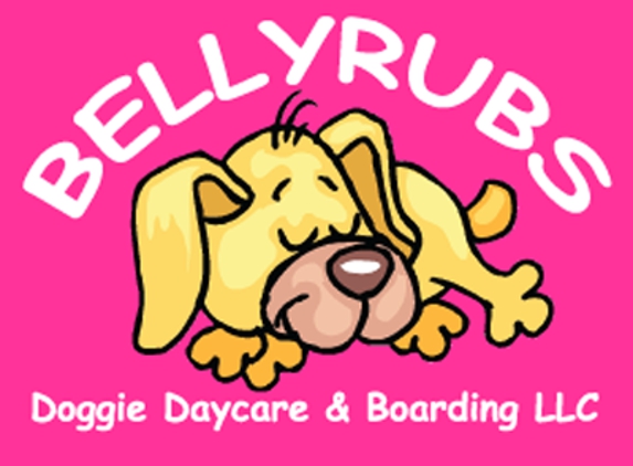 Bellyrubs Doggie Daycare & Boarding - Gansevoort, NY