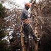 2 Rivers Tree & Hardscapes gallery