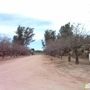 Arizona Pistachio Nursery