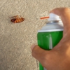 Mosquito Marshals gallery