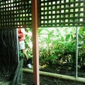 Gallery Image Number 7