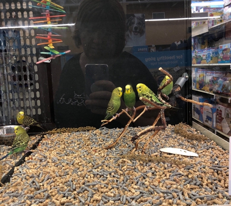 PetSmart - Mililani, HI