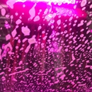 Chalet Center Car Wash