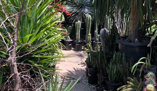 Mickey Hargitay Plants - Los Angeles, CA