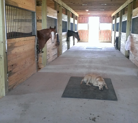 Lantern Hill Equine Retirement - houston, TX