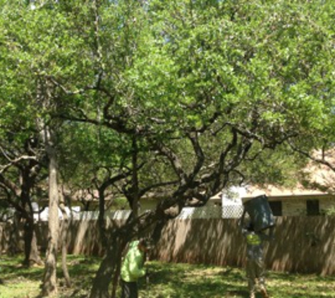 Quality Tree and Lawn - Leander, TX