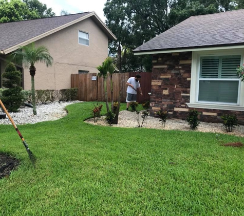 Tropical Oasis Landscaping - Seminole, FL