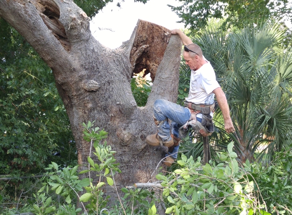 Veteran Tree Service & Construction Inc - Beaumont, TX