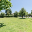 Palo Alto Place - Apartments