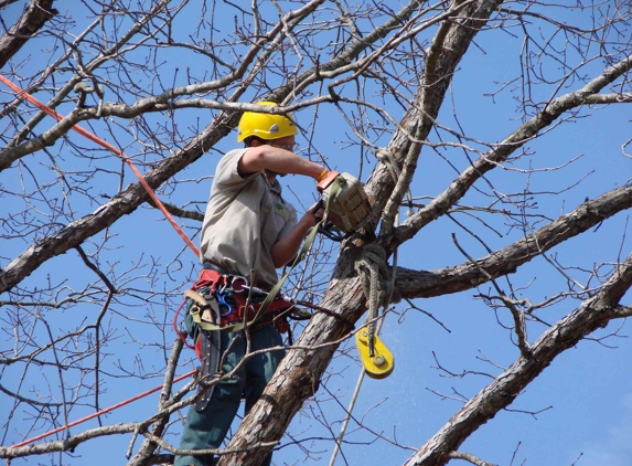 Chop Chop Tree - Omaha, NE