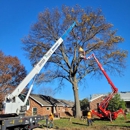 Ray's Tree Service - Tree Service