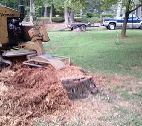 Coleman Stump Removal - lithia springs, GA