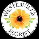 Westerville Florist - Flowers, Plants & Trees-Silk, Dried, Etc.-Retail