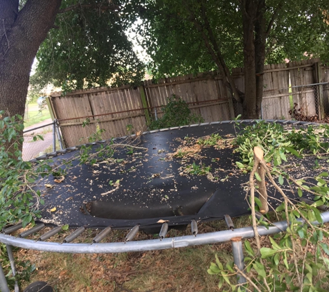 John's Tree Service - Dallas, TX. Mess in my yard