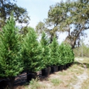 Aucker's Nursery - Nurseries-Plants & Trees