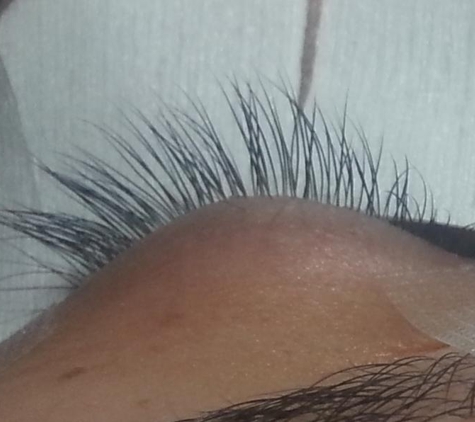 Houston Lashology...an eyelash extension studio - Houston, TX