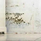 Gallery Image Number 2