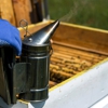 AntEco Pest Control gallery