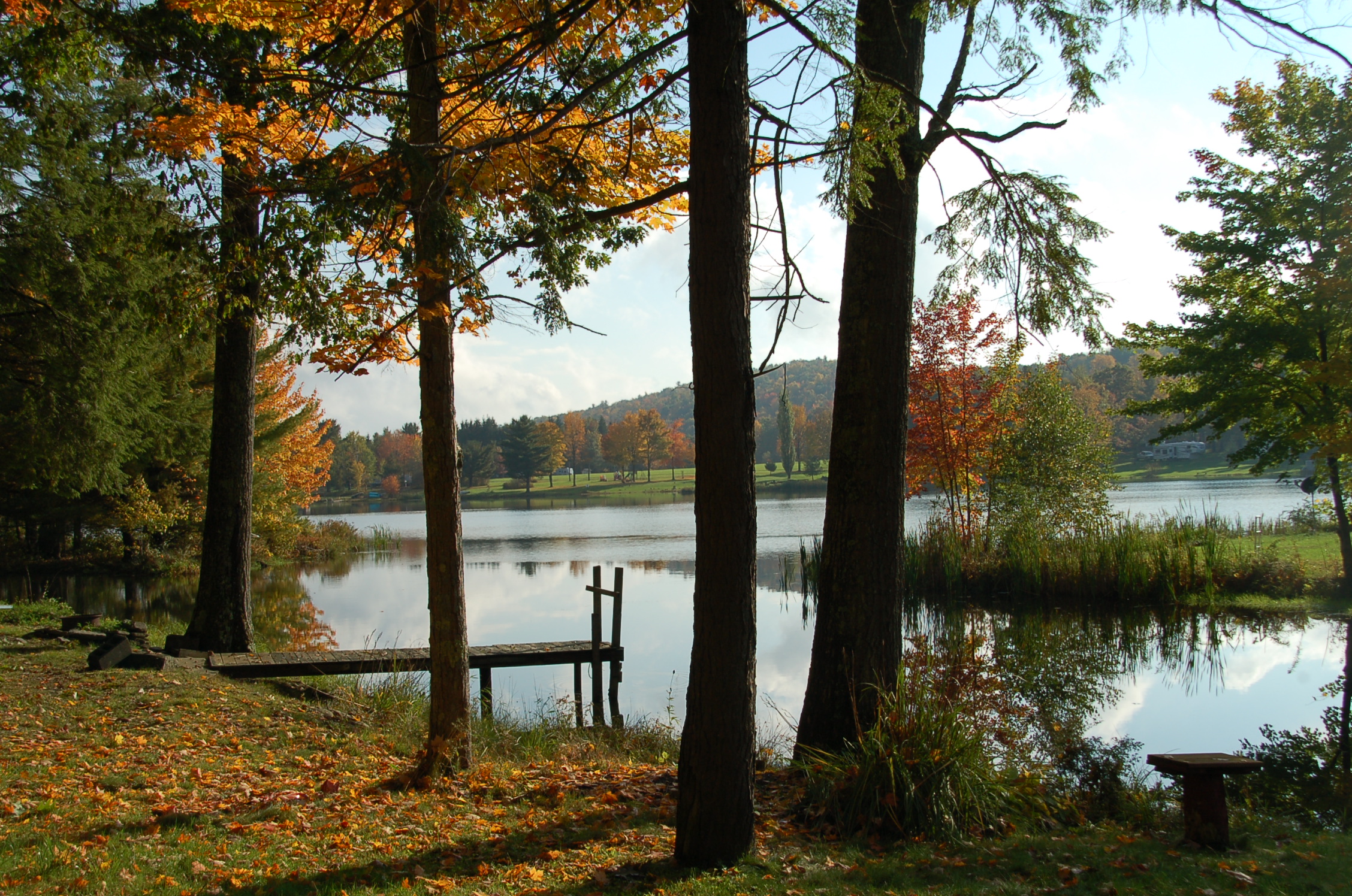 Forest Lake Campground