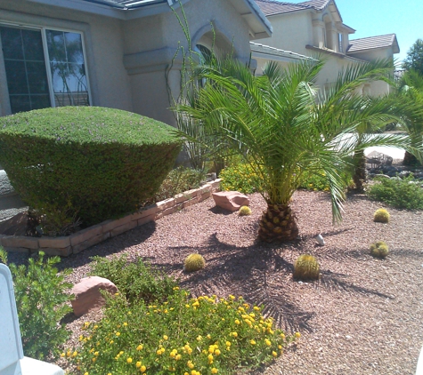 Pedros Tree Trimming - Las Vegas, NV