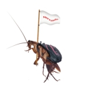 Scott's Termite & Pest Control - Pest Control Services