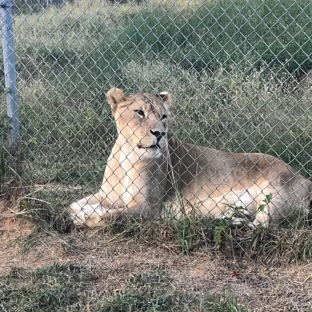 Carolina Tiger Rescue - Pittsboro, NC