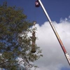 Beaver Tree Service Inc gallery