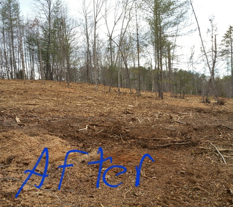 Carolina Ground Services - Morganton, NC. After cleat cut land was mulched. stumps and slash gone.