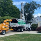 Top Climber Tree Service Corp