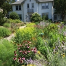 Stephen Coan Garden Design - Landscape Designers & Consultants