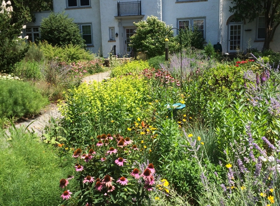 Stephen Coan Garden Design - Collingswood, NJ. Perennial Meadow Plantings