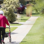 Gallery Image Number 4