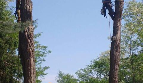 Hoffmann Tree Service - Montello, WI