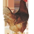 Town Line Hatchery & Poultry Farm - Poultry Farms