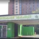 Greenfields Cannabis Co - Health & Welfare Clinics