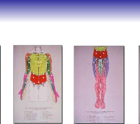 Lymphoedema Clinic Adelaide - Walkerville, SA
