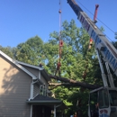 Holder & Jones Tree Service LLC - Arborists