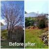 Twizted Hillz Tree Service gallery