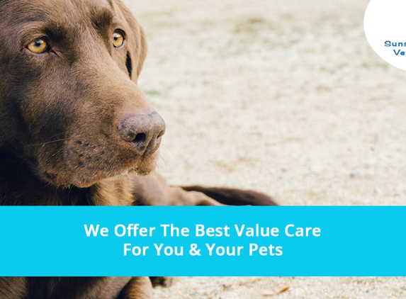 Sunshine Beach Veterinary Surgery - Sunshine Beach, QLD. We Offer The Best Value Care For You & Your Pets