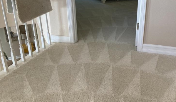 Carpet Cleaning Edwin