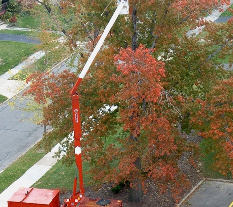 Forest City Tree Protection Co - Cleveland, OH