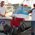 Wise Fishing Charters