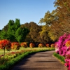 Country Gardens of Bristol gallery