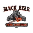 Black Bear Tree Services