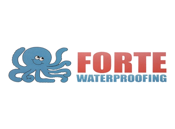 Forte Waterproofing - Mishawaka, IN. water damage restoration service