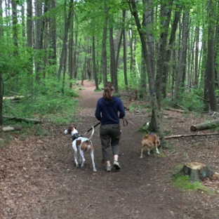 Happy Hound Dog Walking & Pet Care - Seekonk, MA